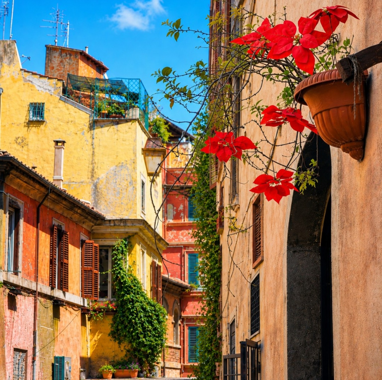 Colourful Mediterranean street with bright red flowers