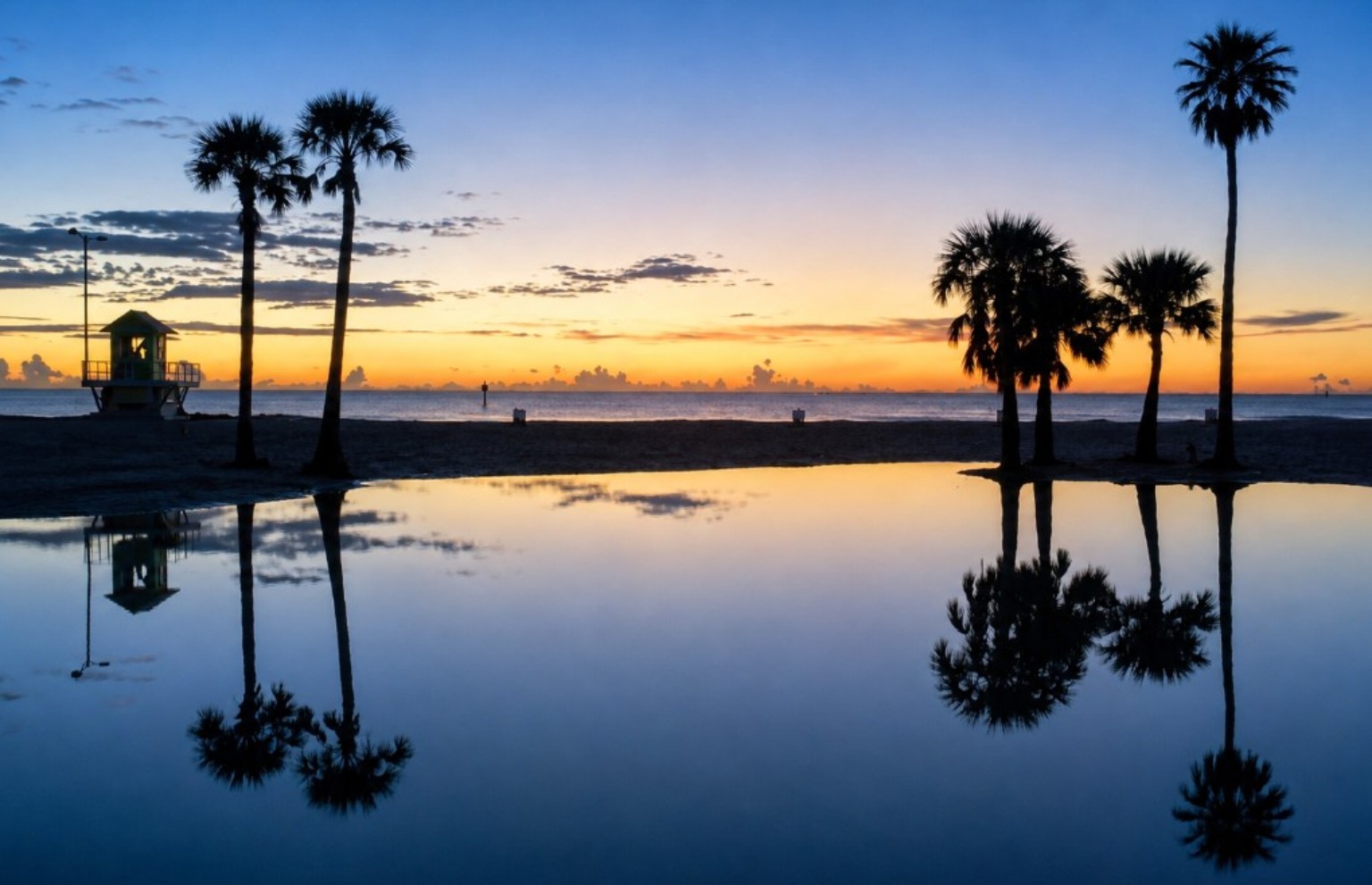 Palm trees reflected in still water at dusk